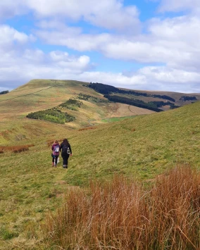 This weekends walk number 27 pic 4