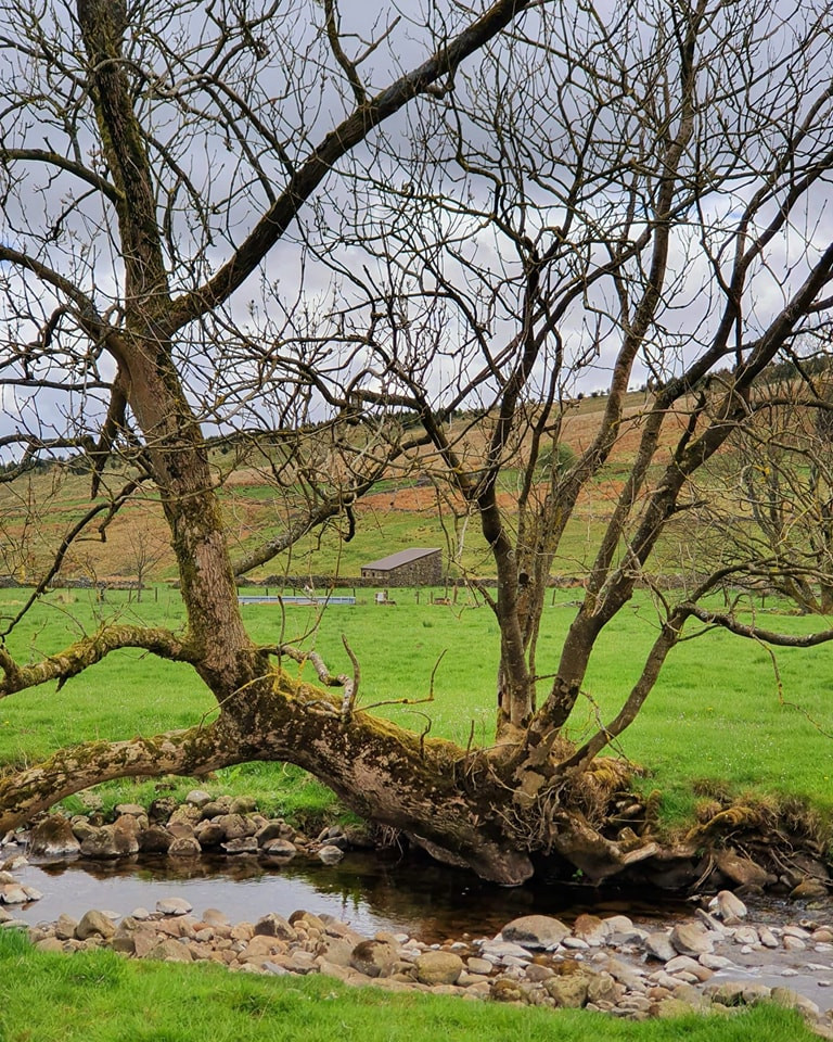 This weekends walk number 27 pic 7