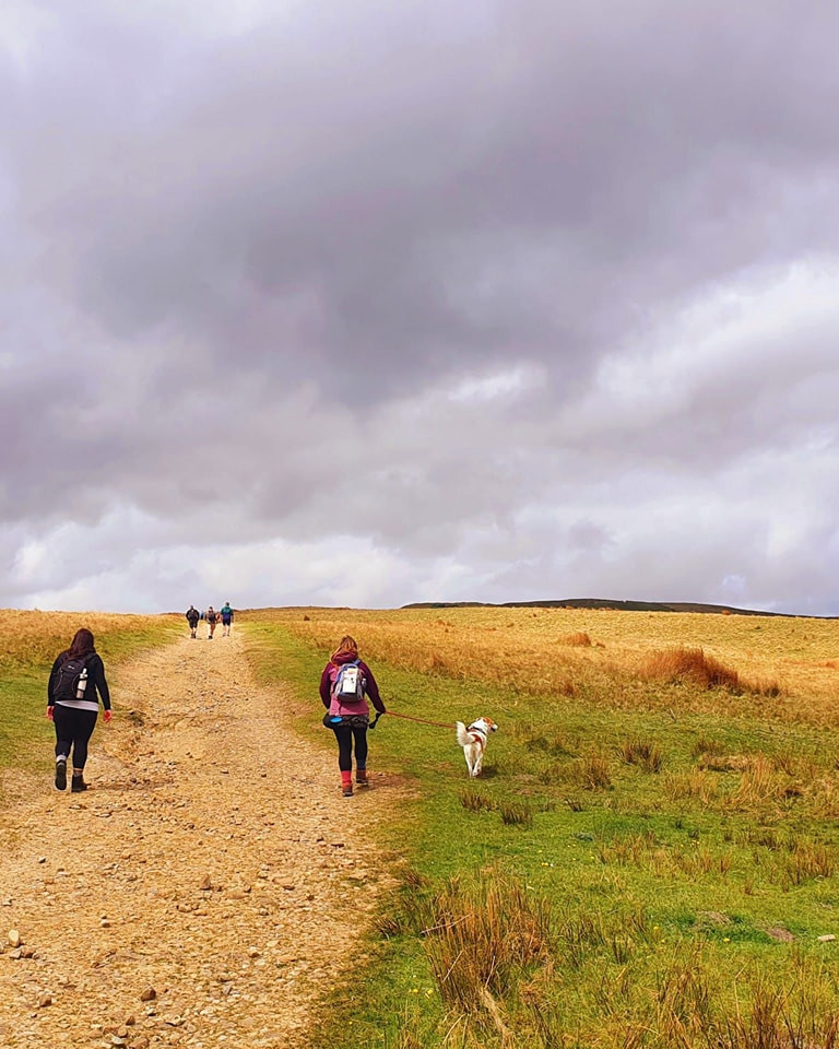 This weekends walk number 27 pic 8