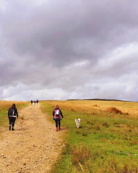 This weekends walk number 27 pic 8