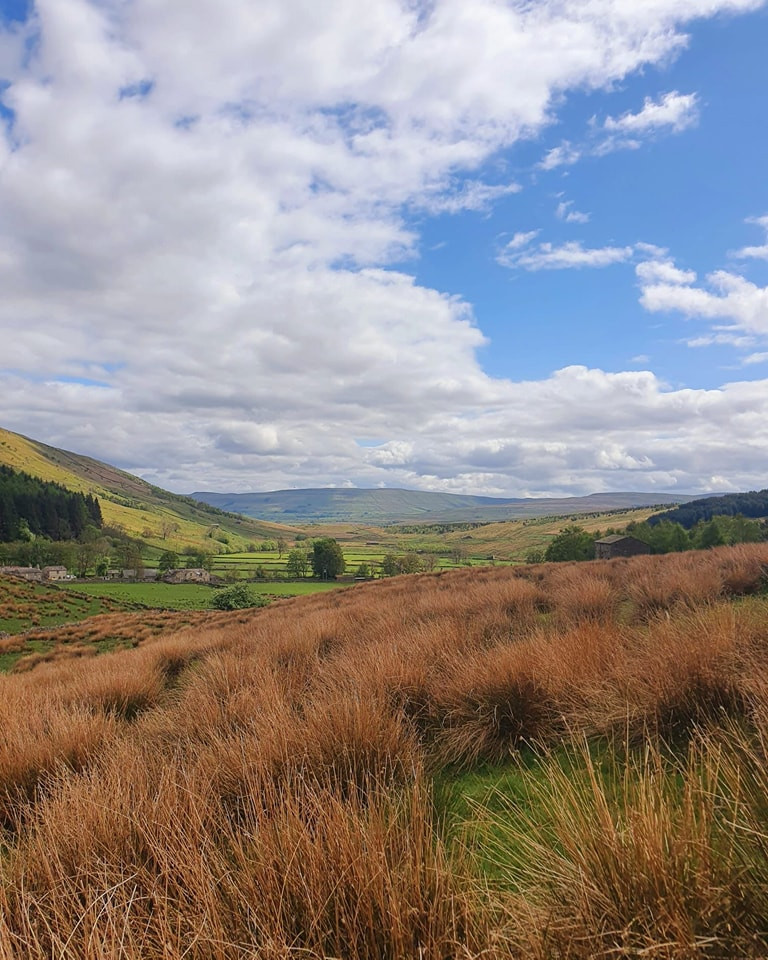 This weekends walk number 27 pic 9