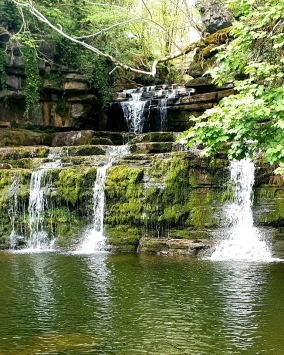 This weekends walk number 27