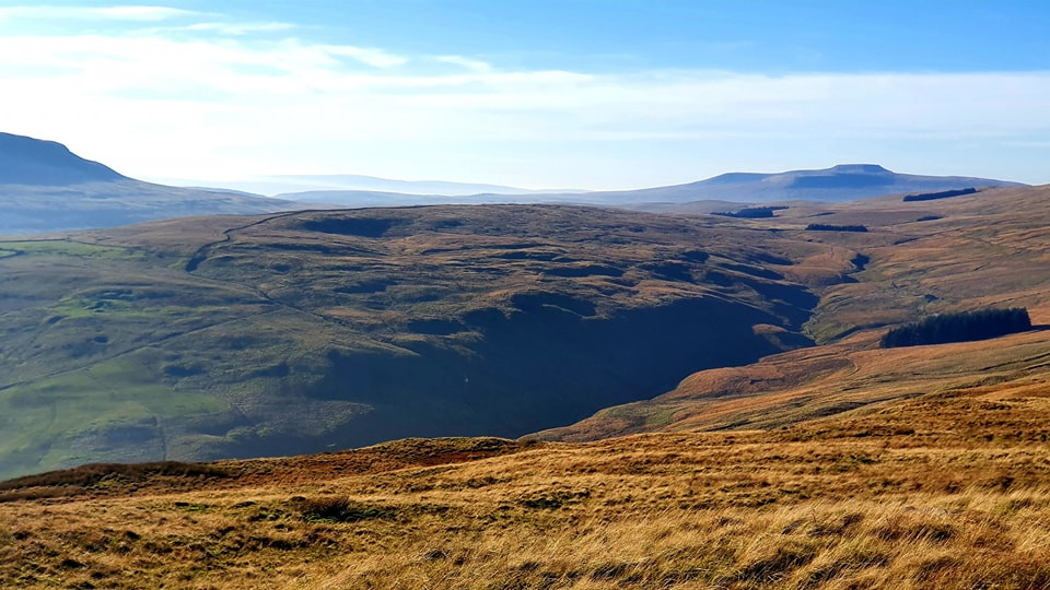 This weekends walk 12 pic 3