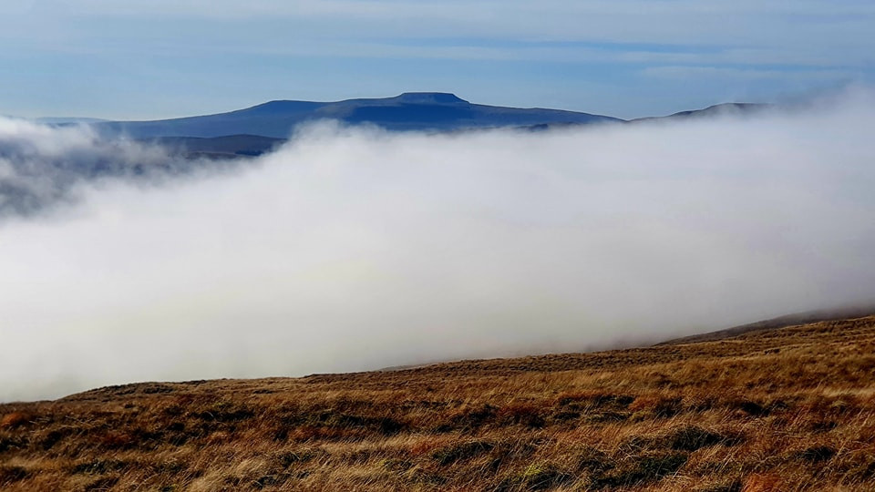 This weekends walk 12 pic 4