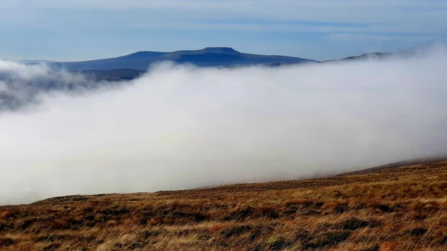 This weekends walk 12 pic 4