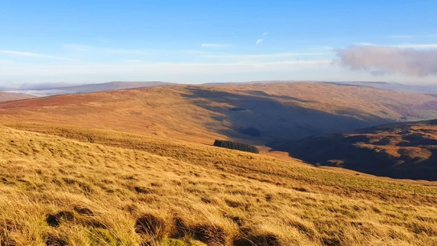 This weekends walk 12 pic 5