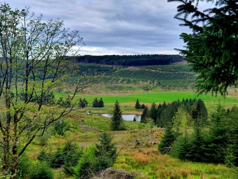 This weekends walk 23 pic 2