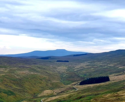 This weekends walk 23 pic 4