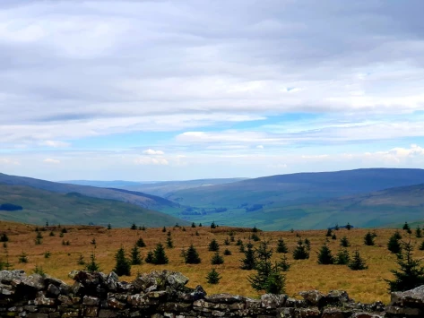 This weekends walk 23 pic 5