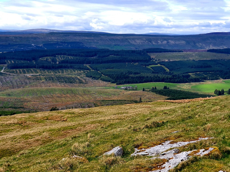 This weekends walk 23 pic 6