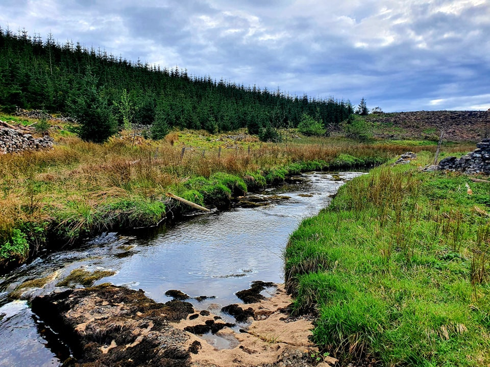 This weekends walk 23 pic 7