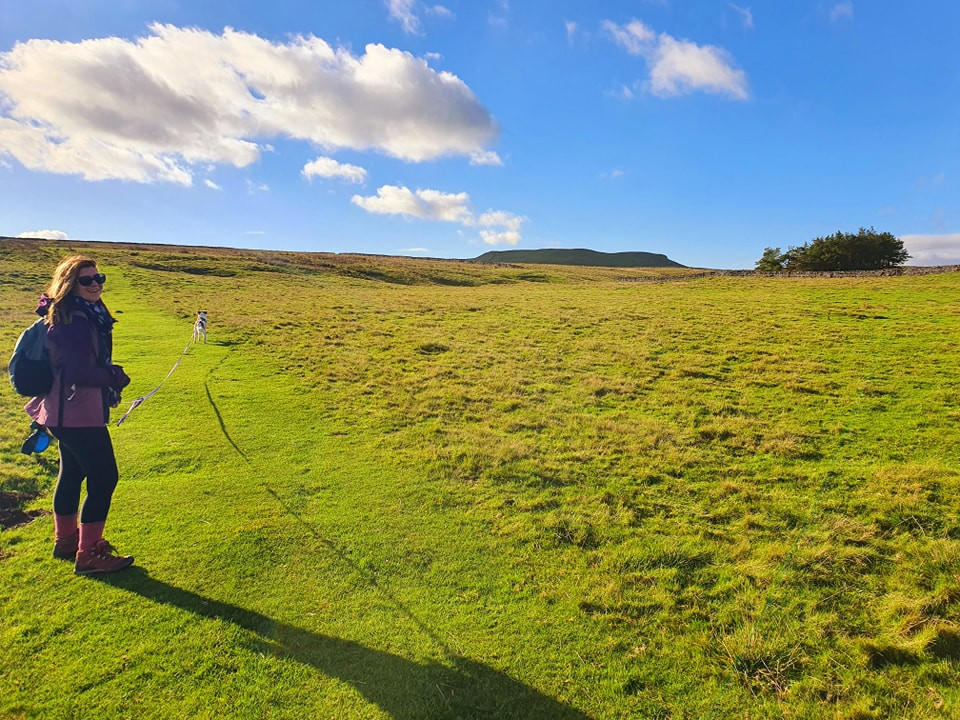 This weekends walk 19 pic 14