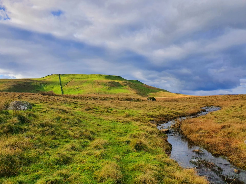 This weekends walk 19 pic 7