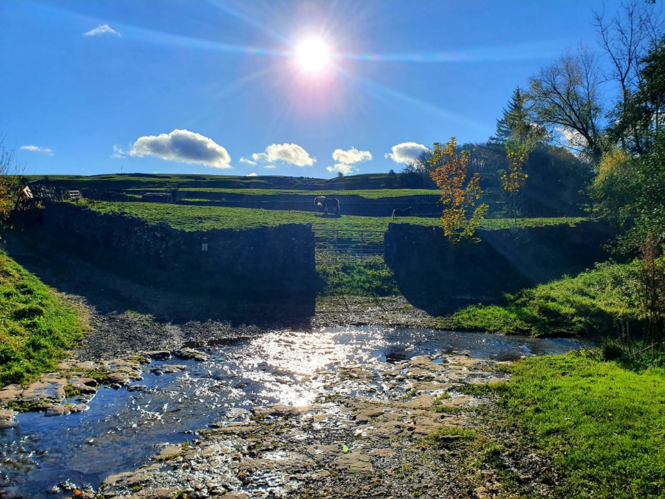 This weekends walk 19 pic 8