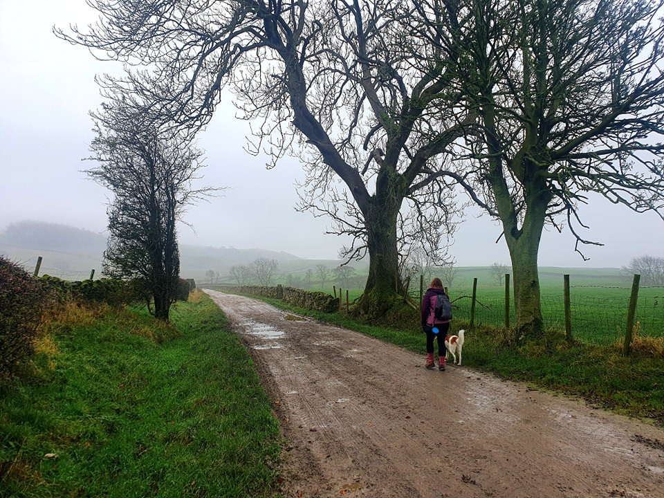 This weekend walk 26 pic 10