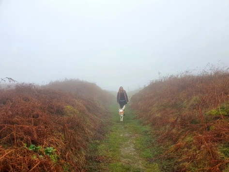 This weekend walk 26 pic 3