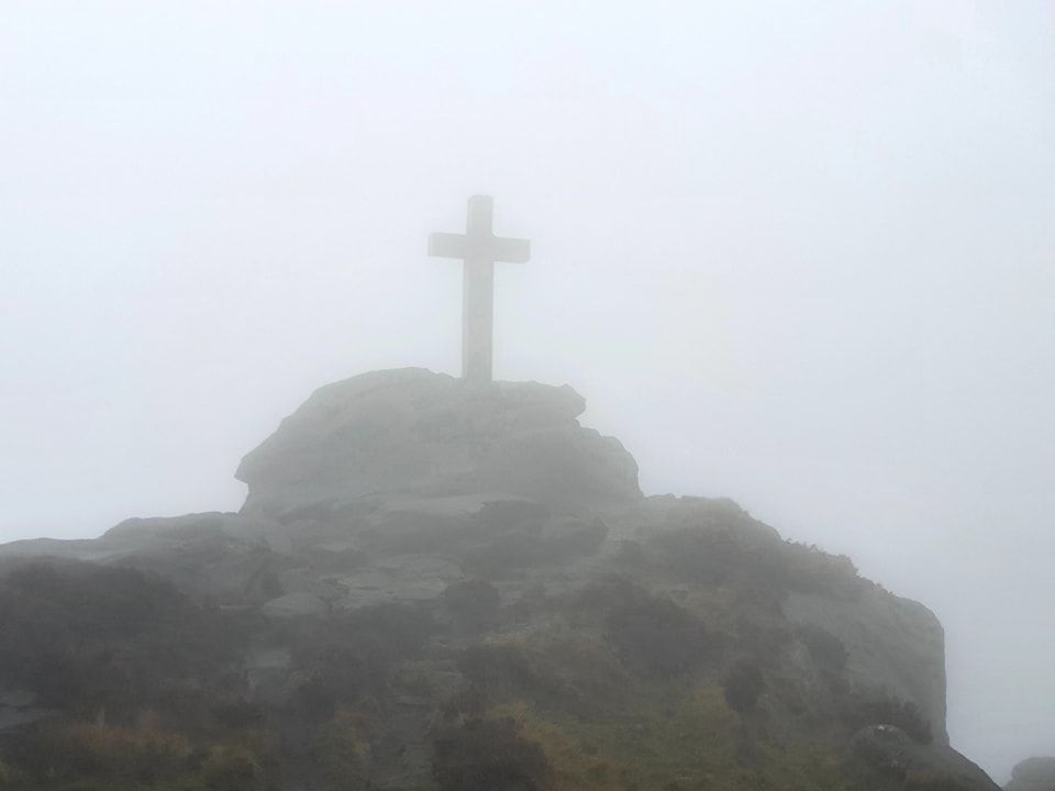 This Weekend's Walk #26 10.11.24