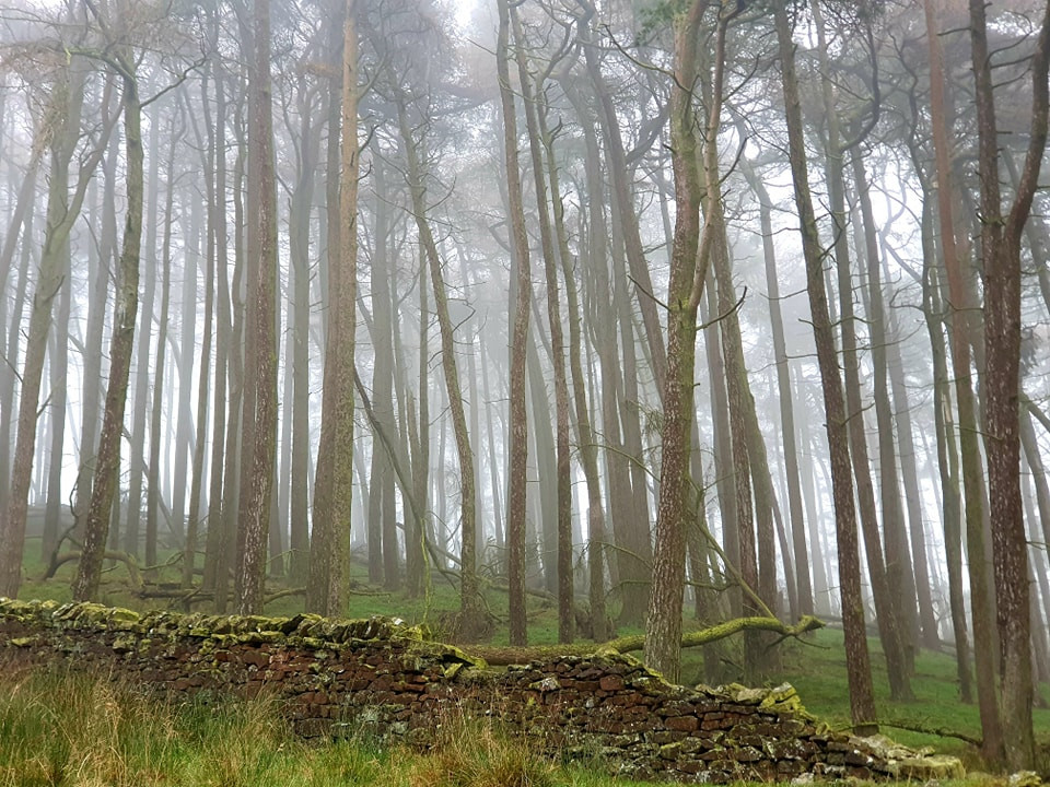 This weekend walk 26 pic 8