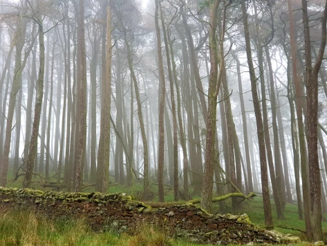 This weekend walk 26 pic 8