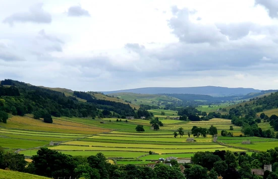 This weekends walk 24 pic 1