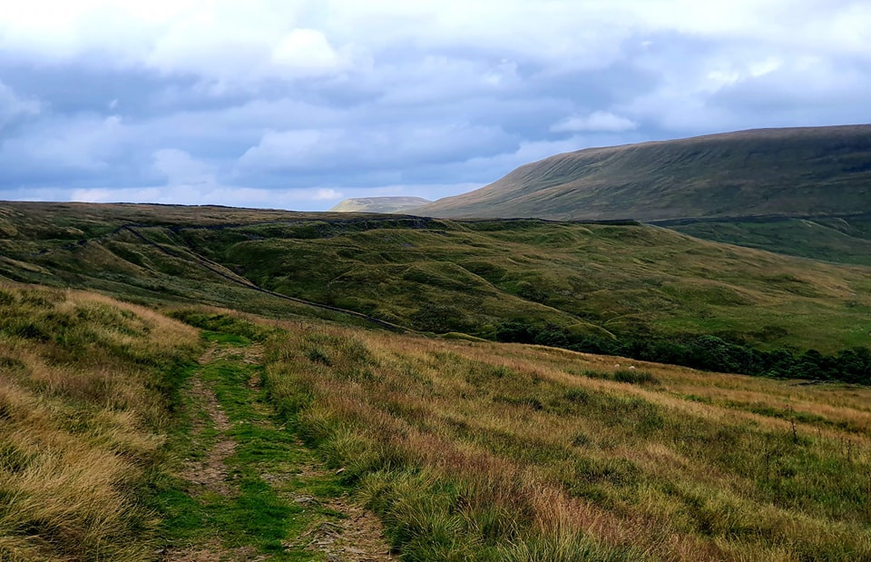 This weekends walk 24 pic 2