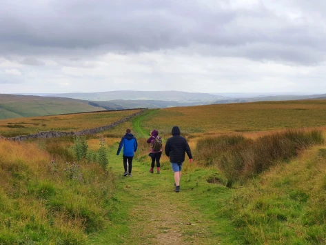 This weekends walk 24 pic 5