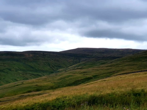 This weekends walk 24 pic 7