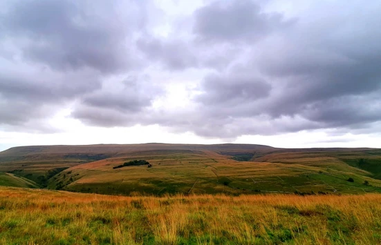 This weekends walk 24 pic 9