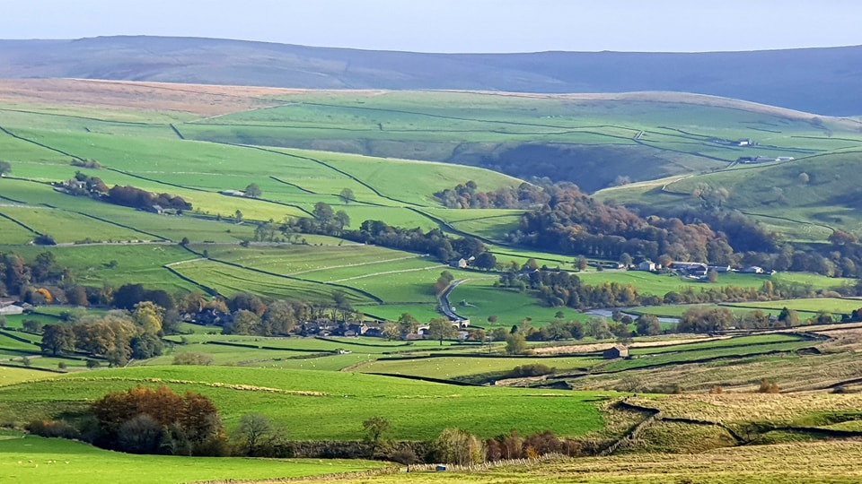 This weekends walk 10 pic 2