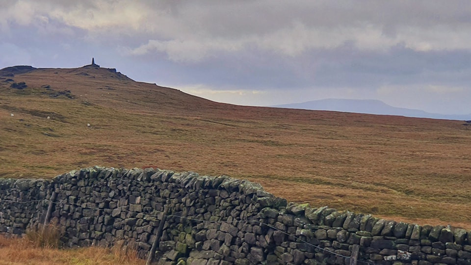 This weekends walk 10 pic 3