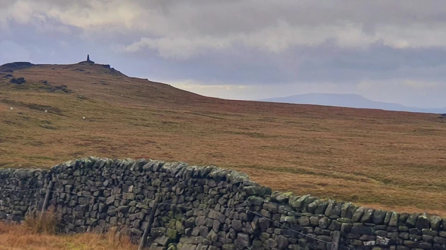 This weekends walk 10 pic 3