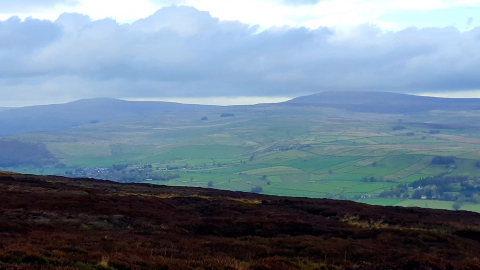 This weekends walk 10 pic 4