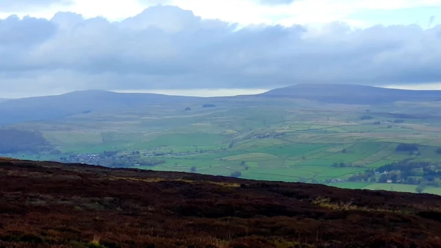 This weekends walk 10 pic 4