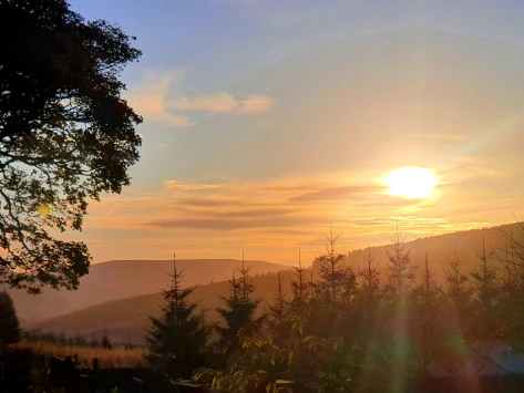 Fc491b54 410b 4c1c a0a3 cf61b8373f65