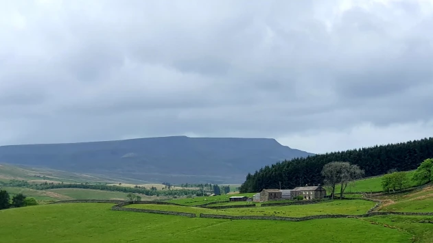 This weekends walk 8 pic 1