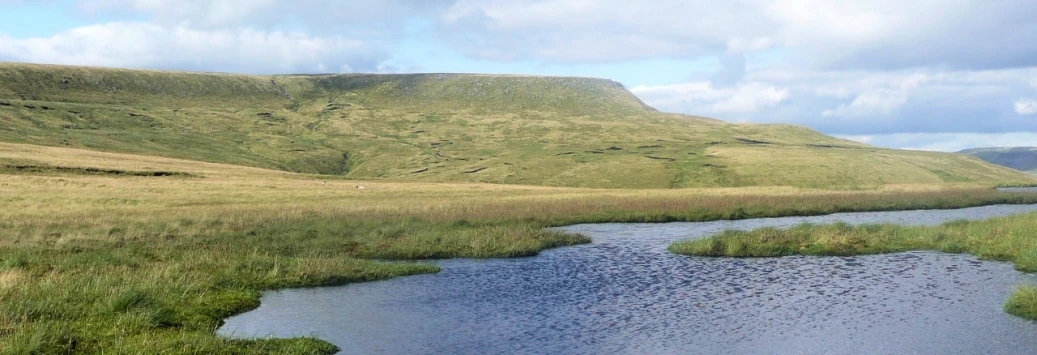 This weekends walk 8 pic 3