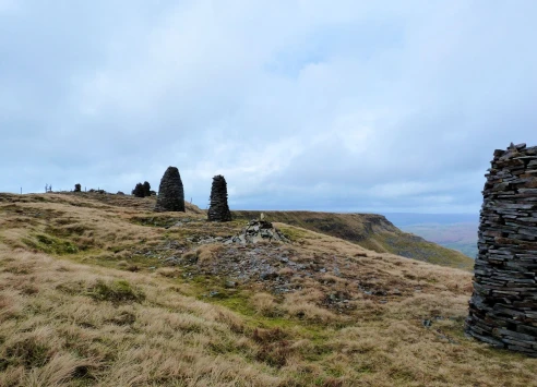 This weekends walk 8 pic 4