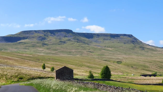 This weekends walk 8 pic 5 