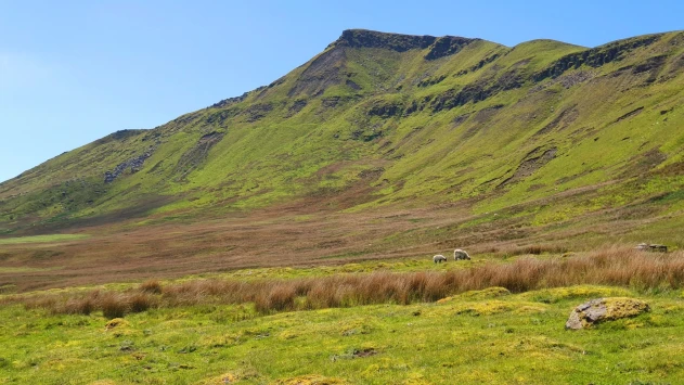 This weekends walk 8 pic 6