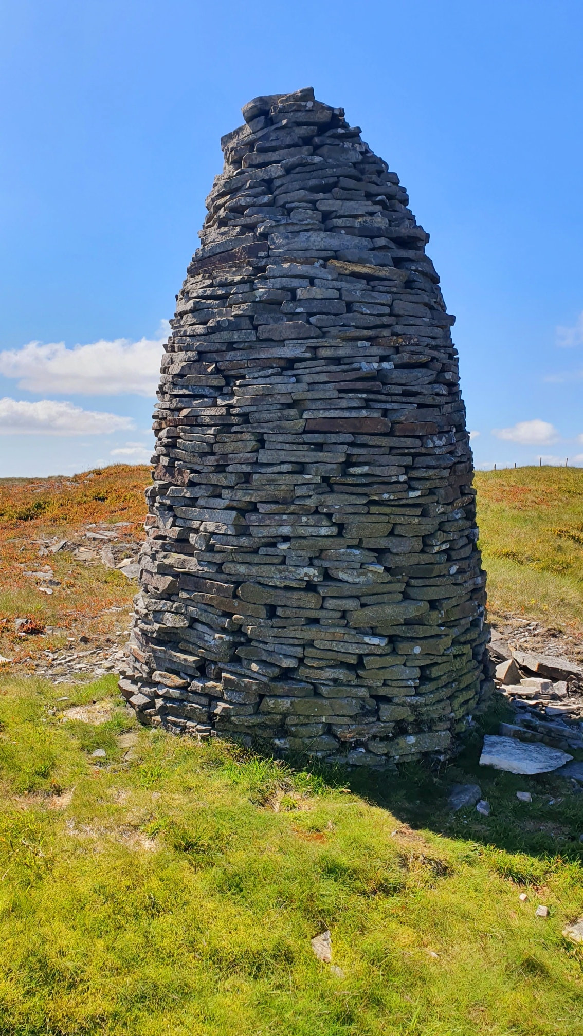 This weekends walk 8 pic 8