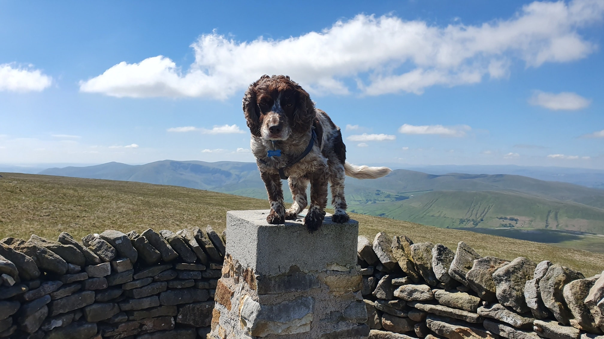 This weekends walk 8 pic 9