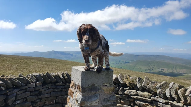 This weekends walk 8 pic 9