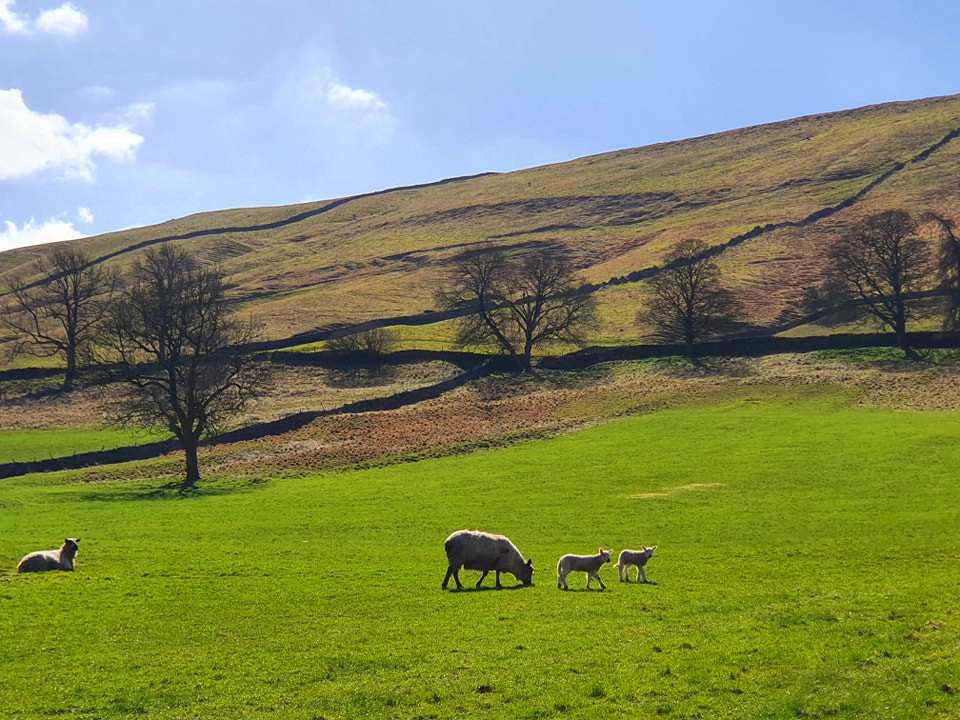 This weekend walk 16 pic 4