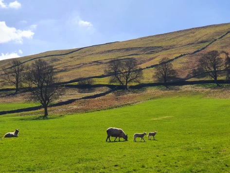 This weekend walk 16 pic 4