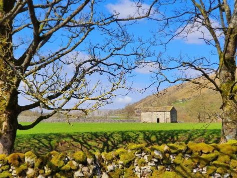 This weekend walk 16 pic 7