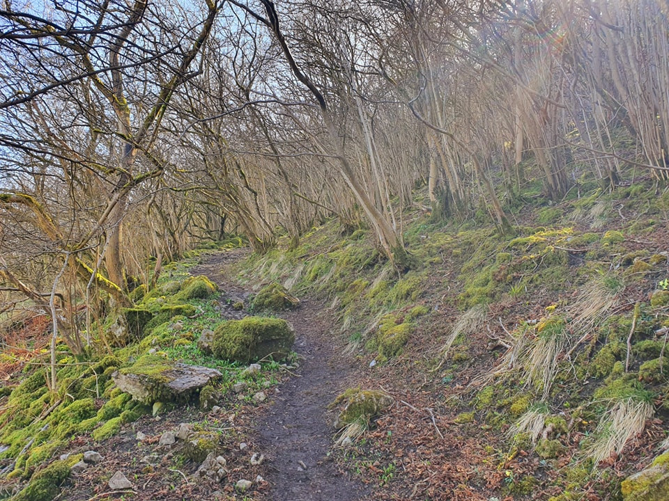 This weekend walk 16 pic 9