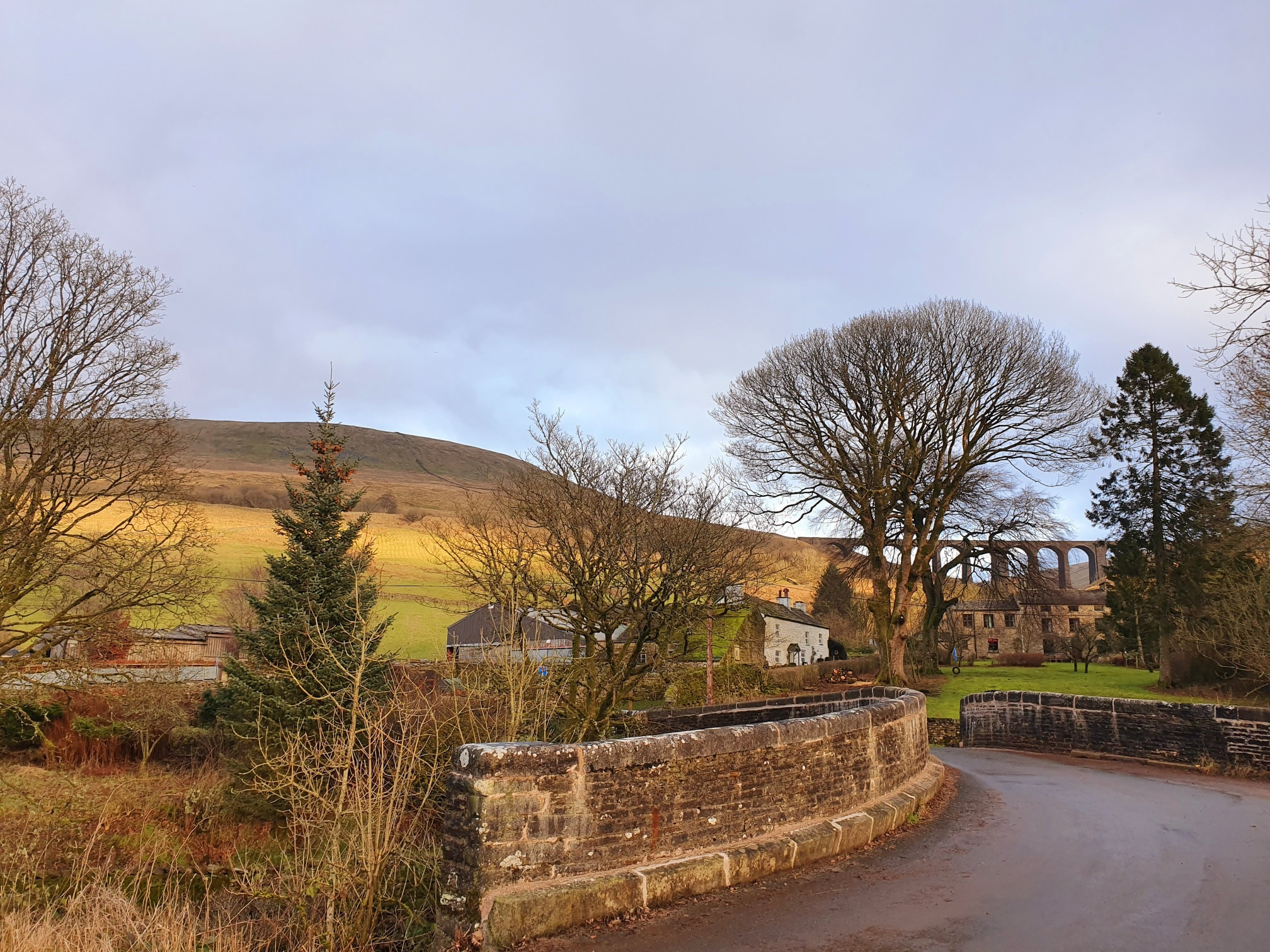 This weekend walk 2 pic 2