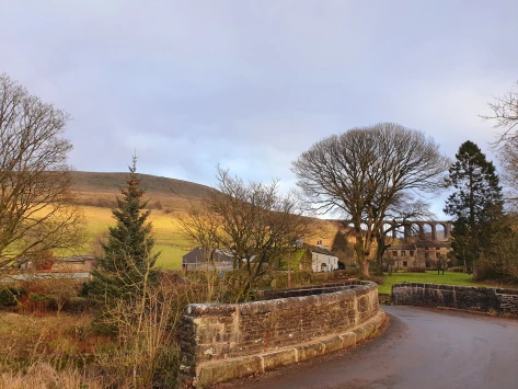 This weekend walk 2 pic 2