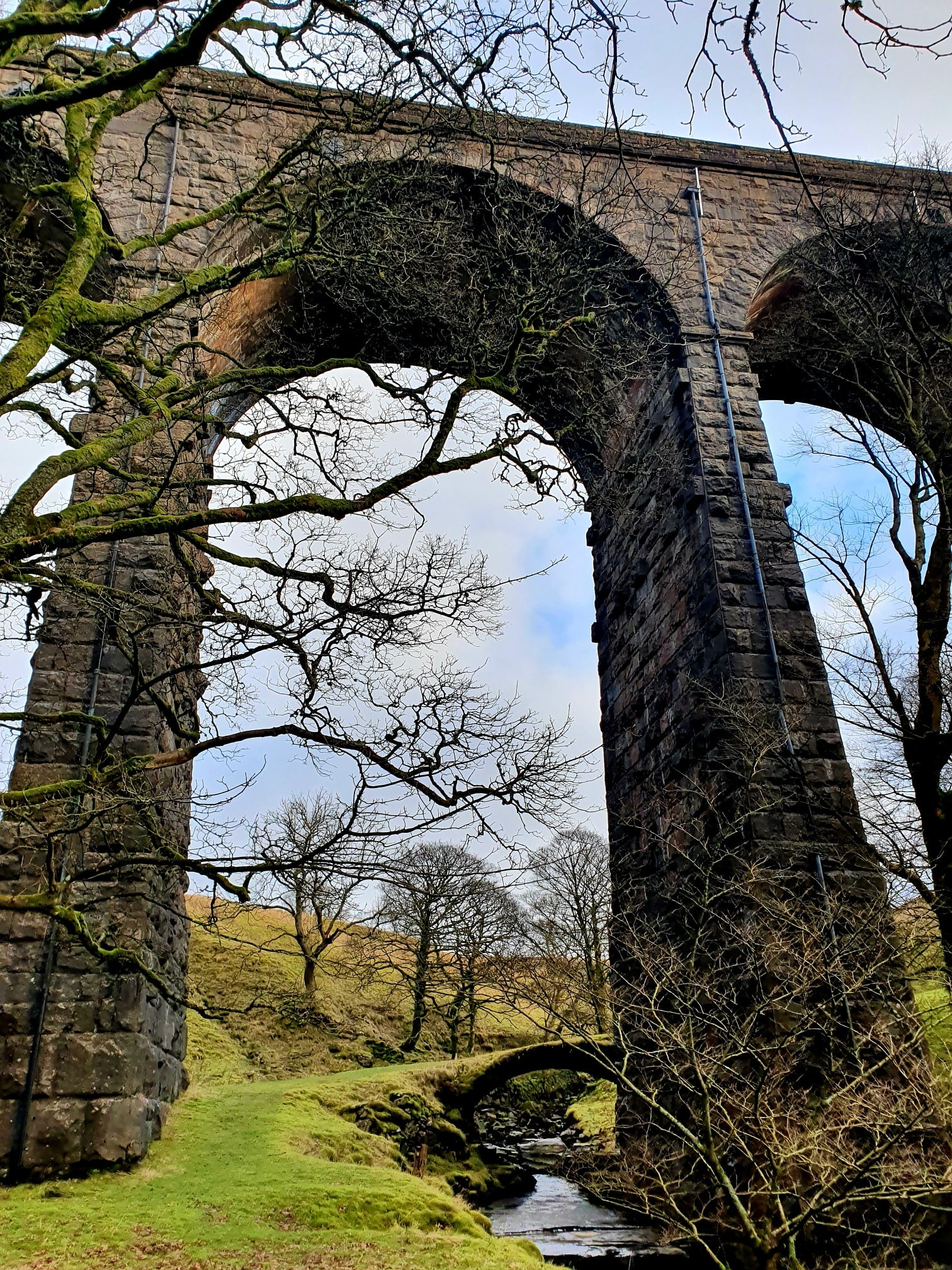 This weekend walk 2 pic 4