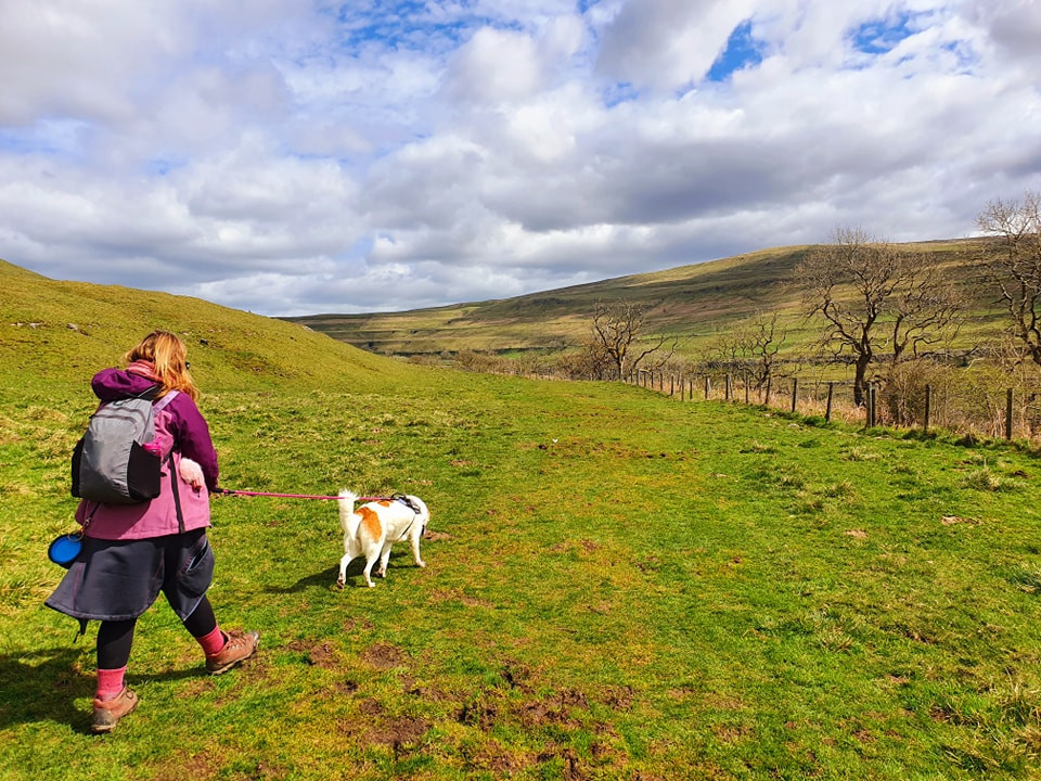 This weekend walk 21 pic 5